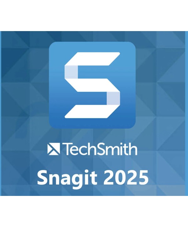 TechSmith Snagit 2025 1 Jahr / 1 Key GLOBAL
